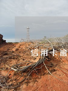信用卡逾期 已还部分 信用卡逾期 已还部分
